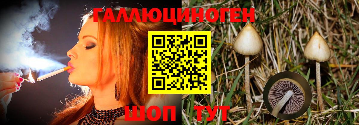 Псилоцибиновые грибы Psilocybe  Псилоцибиновые грибы Magic Shrooms  Ростов Великий  Вход с VPN 